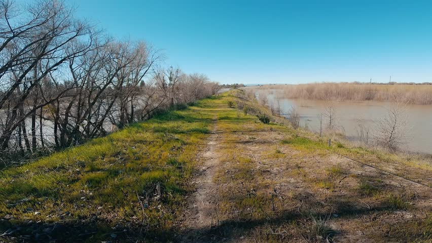 A view from a bike ride on the levee of Sacramento River in winter with leafless trees and grass under cloudless blue sky