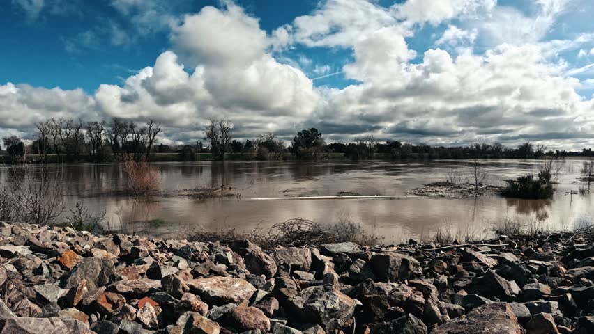 A time lapse footage from the levee of Sacramento River showcasing fluffy clouds in sunny sky over the water with leafless trees
