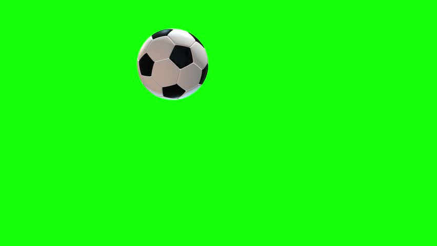 Shutterstock Video