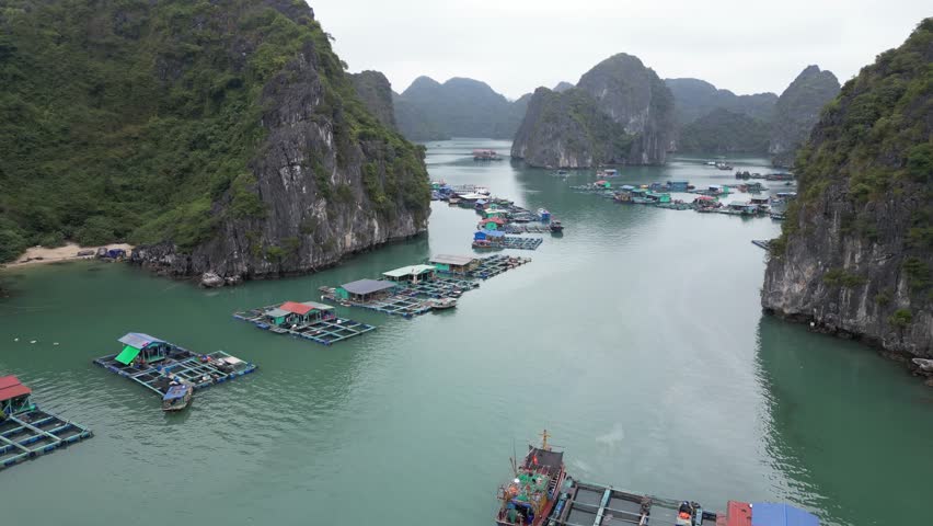 drone shot flying over floating fishing villages in Cat Ba and Halong Bay in Northern Vietnam