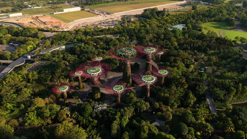 A drone shot capturing the beauty of Gardens by the Bay in Singapore.