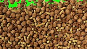 Different kind of nuts falling down green screen animation. Mix of nuts, penauts, drooping and stacking.
Many mix of nuts raining down and fill in the screen. Enormous number of nuts. - Powered by Shutterstock - Get 15% off with code: PIKWIZARD15