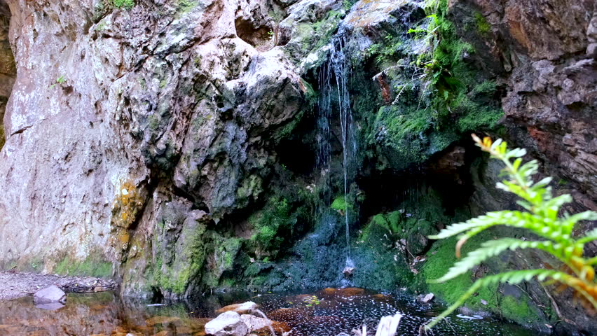 Calm scene as mountain stream trickles over rocky moss-covered ledge into pool