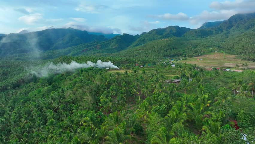 Tropical landscape with palm trees and rising smoke on field of Philippines. Green mountain range in background. Slow forward shot.