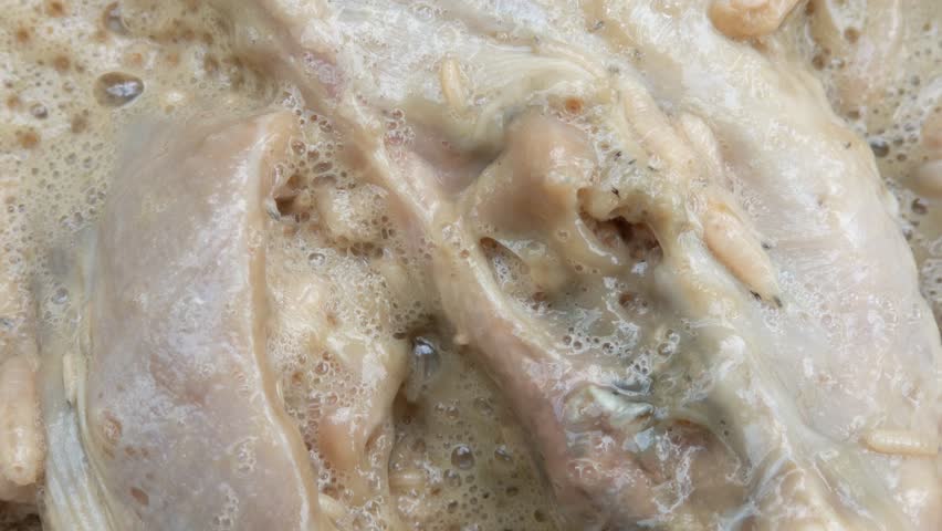 Macro of white maggots in dirty watery food. Dirty food waste that has been left for a long time will bring in garbage maggots. Handheld footage.