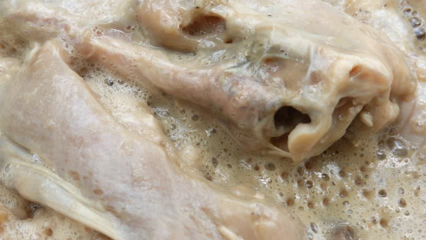 Macro of white maggots in dirty watery food. Dirty food waste that has been left for a long time will bring in garbage maggots. Handheld footage.