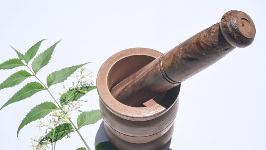 Making Herbal Medicine of Neem leaves.  Its other names Azadirachta indica, nimtree and  Indian lilac. Its fruits and seeds are the source of neem oil. Many aruvedic medicines are made from its leaves