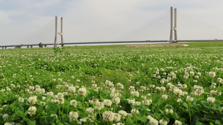 A landscape view of the Vasco da Gama Bridge in Lisbon, Portugal.