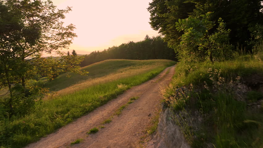 AERIAL: Woman biking with her dog along a countryside road during golden sunset. Warm light and serene surroundings highlight the joy of outdoor activities and companionship of a beloved furry friend.