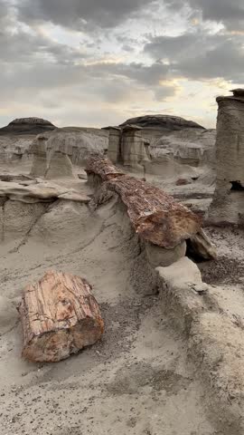 Petrified wood in Bisti Badlands near Farmington New Mexico, Bisti De Na Zin Wilderness, authentic natural landscape scenery, otherworldly, Mars surface, mysterious, Venus surface, untouched