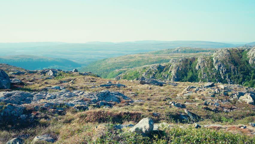 Dog During Hike Overlooking Rugged Mountainscape. Panning Right Shot