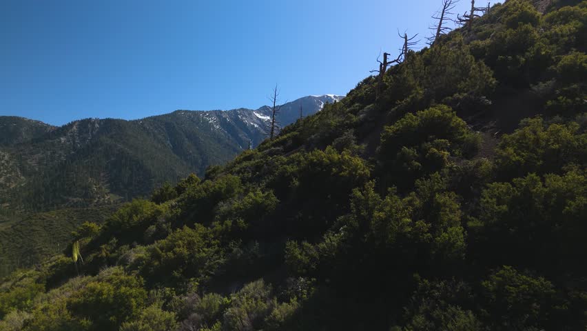 Ridges Of San Gabriel Mountains At San Bernardino National Forest In California, United States. Aerial Drone Shot