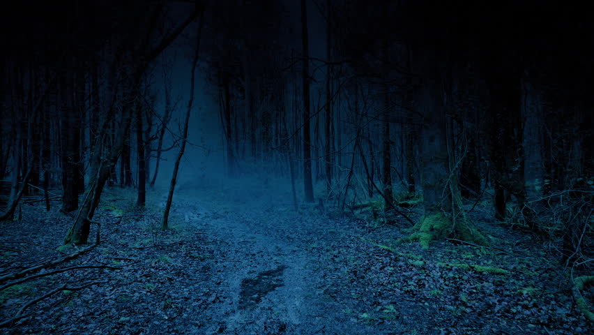 Scary POV Walking In Dark Spooky Woods
