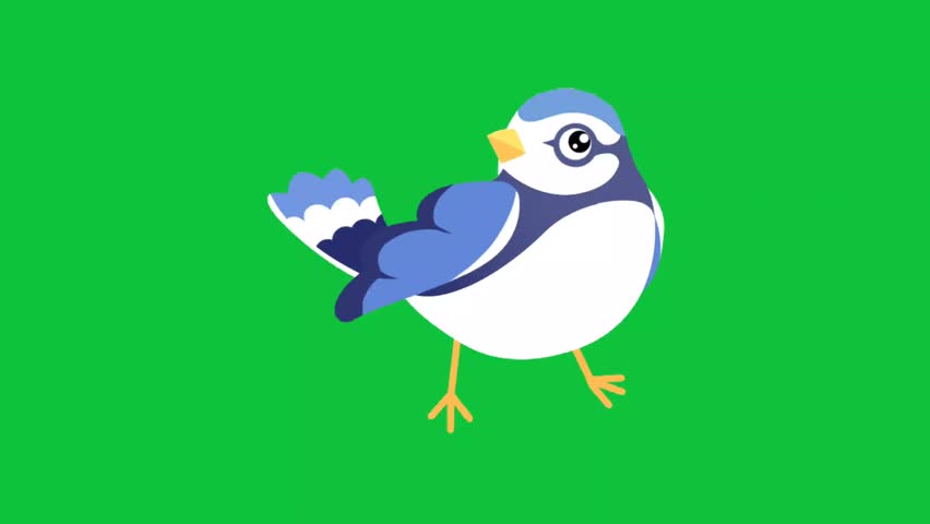 Shutterstock Video