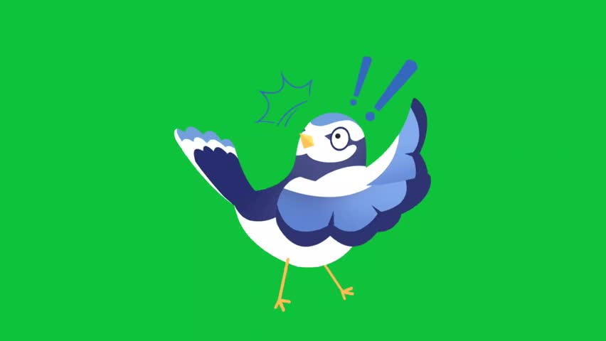 Shutterstock Video