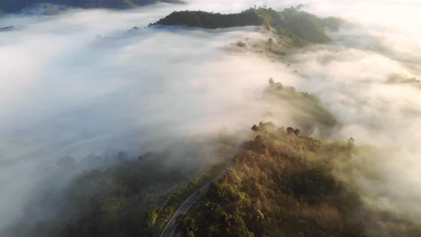 ozone, rainy, sky, beautiful, environment, nan, nature, outdoor, village, forest, dark, view, background, cloud, fog, tree, winter, landscape, road