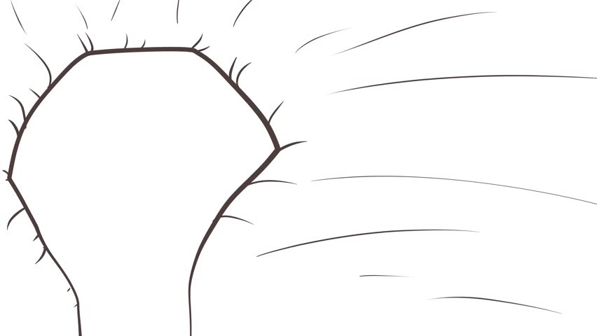  A flat, rounded area is surrounded by folds that imitate the surface of a fabric.