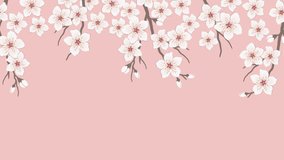 Spring Animation. Flying Petals of Flowers. Sacura Flowers. Blossoming Branches of Cherry. White Flowers  on Pink Background. Spring Floral Banner.  - Powered by Shutterstock - Get 15% off with code: PIKWIZARD15