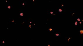 Slow motion of autumn mix Leaves falling with Alpha Channel, Autumn spring season leaves fall motion graphic background - Powered by Shutterstock - Get 15% off with code: PIKWIZARD15