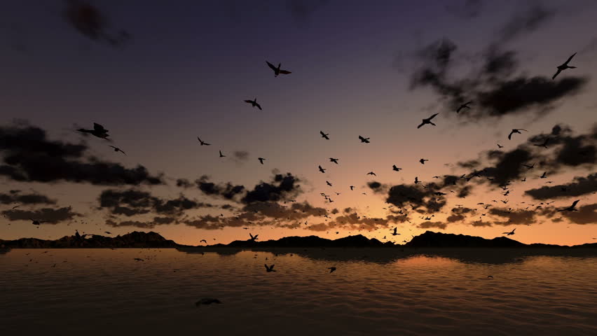 Ducks flying, timelapse sunrise with sea and mountain ridge