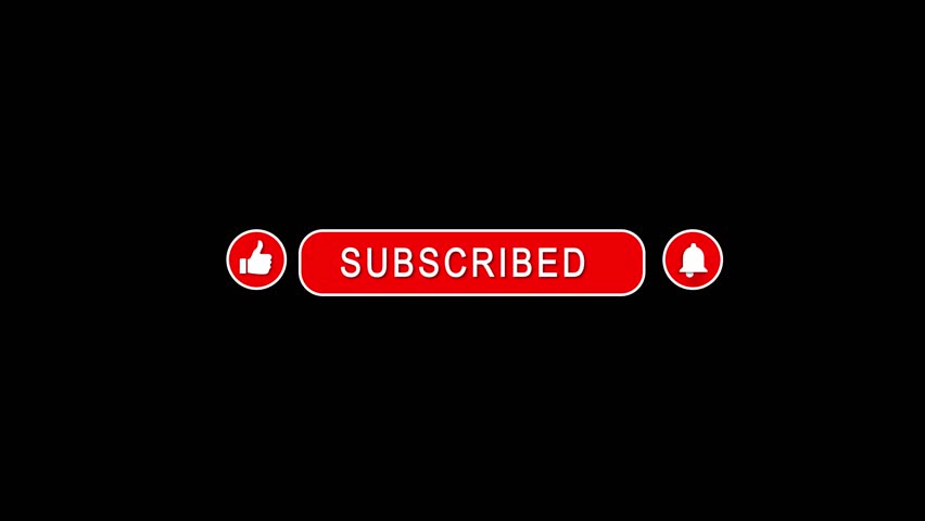 Shutterstock Video