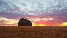 Prairie Timelapse: Barn and Sky Over Golden Wheat Fields in Alberta, Saskatchewan. Serene beauty of the prairies with this stunning timelapse video, featuring an old barn set against sky - Powered by Shutterstock - Get 15% off with code: PIKWIZARD15