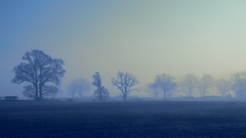 Blue Misty Morning Sunrise - Timelapse