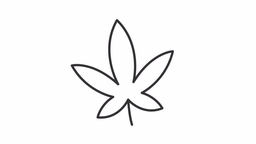 Animated cannabis leaf icon. Marijuana herb line animation. Moving weed, floating. Medical agriculture. Black illustration on white background. HD video with alpha channel. Motion graphic