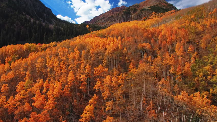 Aerial Beautiful Shot Of Mountains Under Cloudy Sky, Drone Flying Forward Over Autumn Trees In Forest - Aspen, Colorado