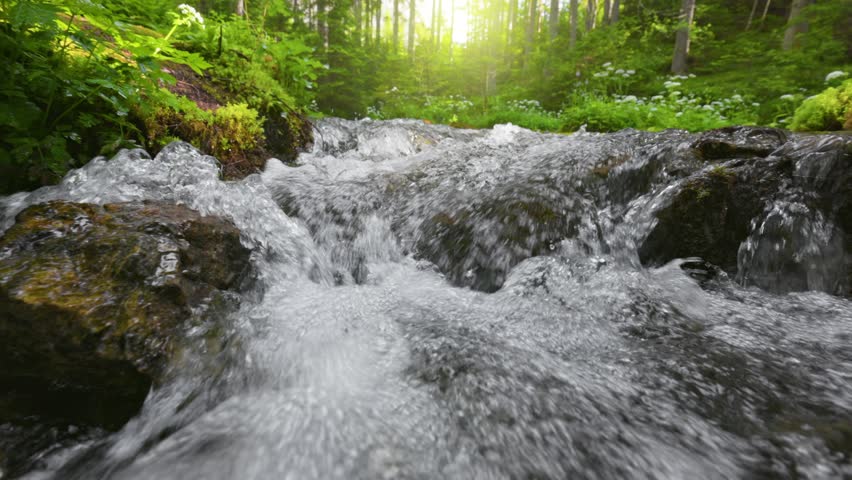 Gimbal morning shot of stream in the green forest. Small mountain river with crystal clear water. Sun rises between the trees in the background. Slow motion