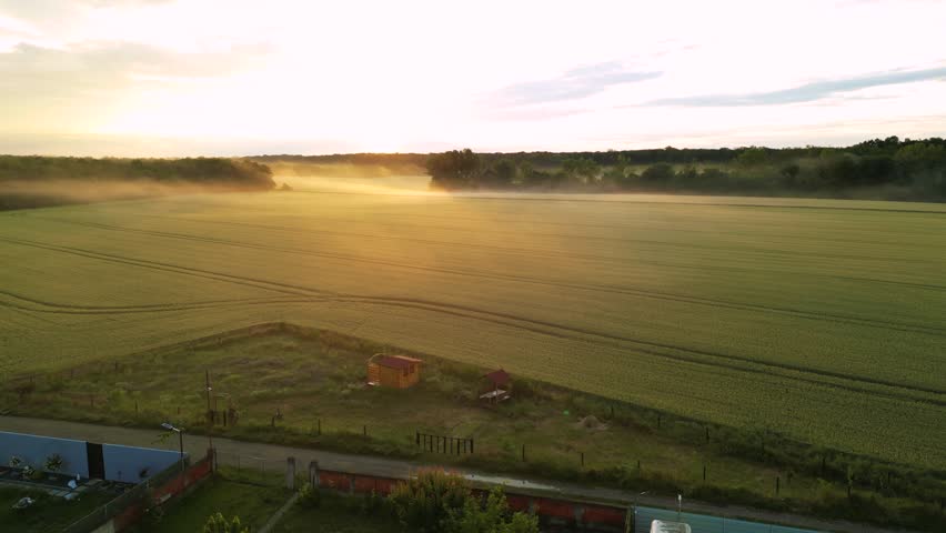 High angle shot of golden sunset on a wheat field with woods surrounding it. Fog and mist seen from a drone. Flying footage of beautiful rural landscape on a summer evening. Golden hour farmland.