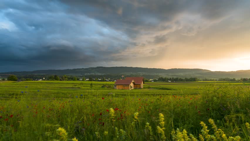 Breathtaking sunset light spreads across golden grass of farmland while storm clouds rain down, dramatic contrast between sky