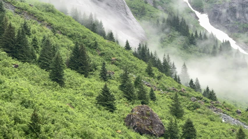 Pan right slowly along scenic landforms of LeConte Bay fjord, with green slopes with Sitka spruce and glaciated cliffs with patchy vegetation, on a rainy afternoon early in summer, southeastern Alaska