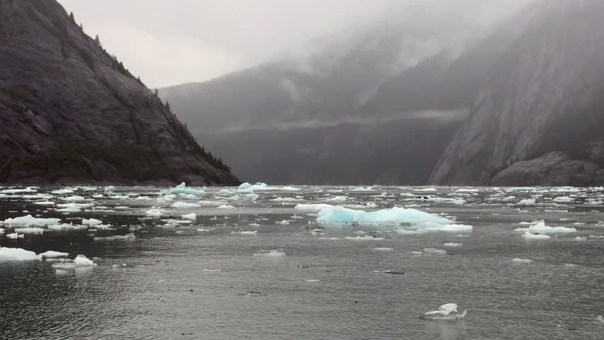 Arc shot from a circling tour boat in a remote fjord: Small icebergs, two with harbor seals (binomial name: Phoca vitulina), in LeConte Bay along the way to LeConte Glacier in southeastern Alaska