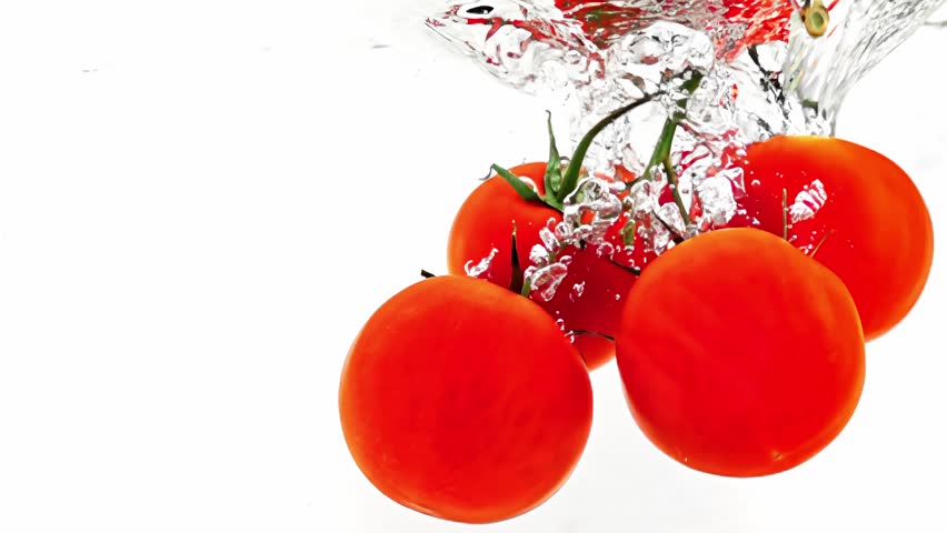 Branch or ripe red tomatoes are falling into water and floating filmed in closeup slow motion. Fresh and juicy vegetables are washed in clear aqua before cooking vegan salad. Healthy kitchen theme
