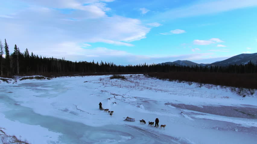 Aerial: Drone Forward Shot Of Husky Dogs With People On Sled In Winter Season Under Cloudy Sky - Calico Bluff, Alaska
