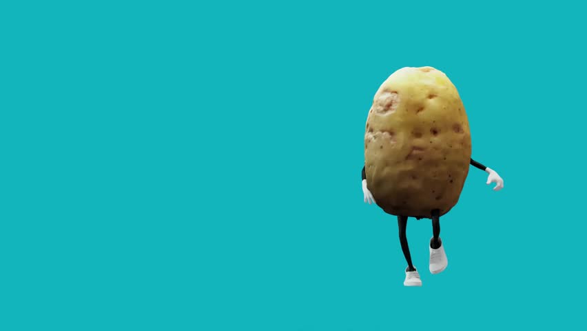 Shutterstock Video