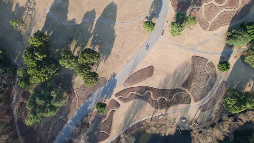 Aerial of family walking in forest park, harmony shadows moving in sunny autumn day, 4k real time footage high angle drone view.