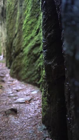 Water dripping from the cliff. A hike in the Swedish forest. Skåne, Sweden. Nice background for stories about environment, forestry, sustainability, climate, Nordic countries. Vertical video