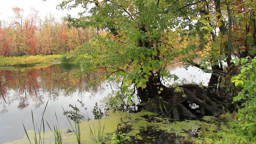 Vermont October 1. A tranquil nature scene in northern Vermont on a cloudy