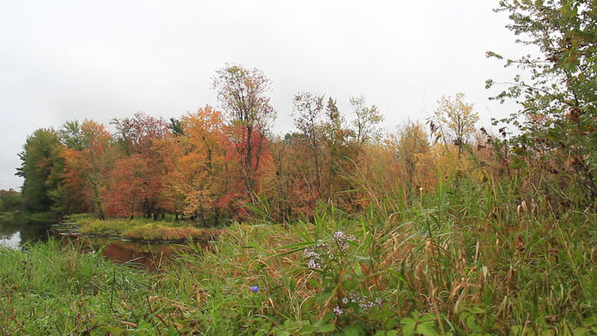 Vermont October 2. A tranquil nature scene in northern Vermont on a cloudy