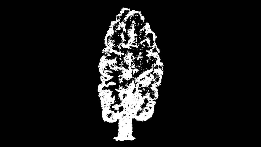 This is a motion graphic animation of a white wiggly hand drawn texture tree icon, on alpha transparent background, on loop