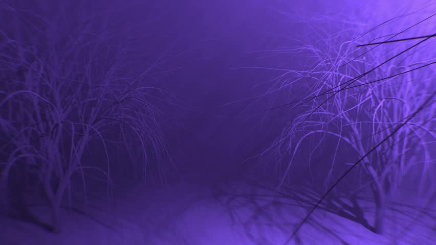 Infinite flight through spooky tunnel made of tree branches on purple foggy background in a seamless loop. Halloween animation