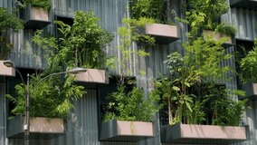 Building facade with green plants growing on balcony. Vertical garden in Kuala Lumpur city, Malaysia. Sustainable modern and ecological architecture - Powered by Shutterstock - Get 15% off with code: PIKWIZARD15