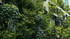 Building facade with green plants growth on the wall. Vertical garden in Kuala Lumpur city, Malaysia. Eco friendly urban environment. Sustainable modern and ecological architecture - Powered by Shutterstock - Get 15% off with code: PIKWIZARD15