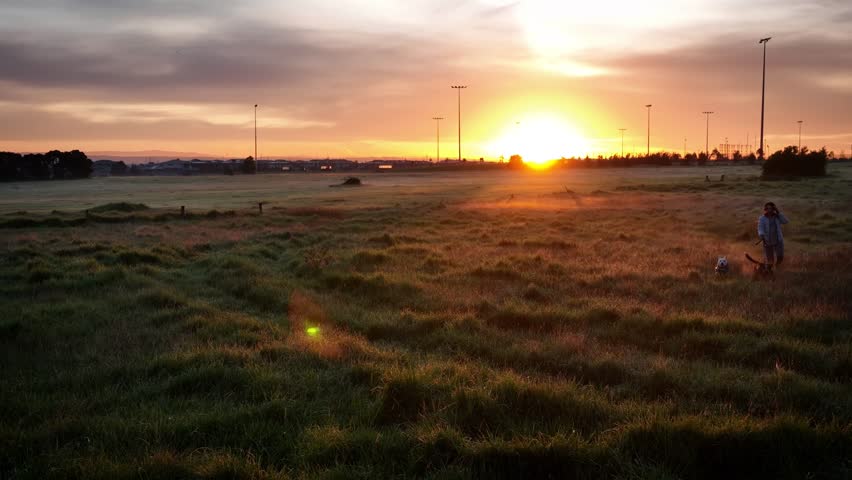 Sunrise behing woman walking dogs through farm grass