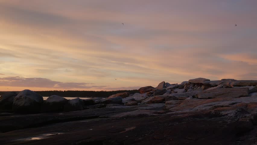 Sunset from Rocky Island Handheld Shot With Bird Flying Towards. Jenny Island, Maine, USA. Summer 2024
