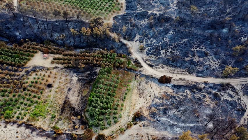 The forest and the villages and houses in the forest were greatly damaged by the fire. The destroyed nature trees, wildlife, vegetation, houses, cars, agricultural tools, the image after the fire. 