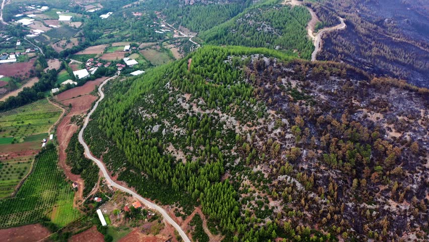 The forest and the villages and houses in the forest were greatly damaged by the fire. The destroyed nature trees, wildlife, vegetation, houses, cars, agricultural tools, the image after the fire. 