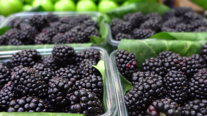 fresh Blackberry in a plastic box selling at fruit shop 